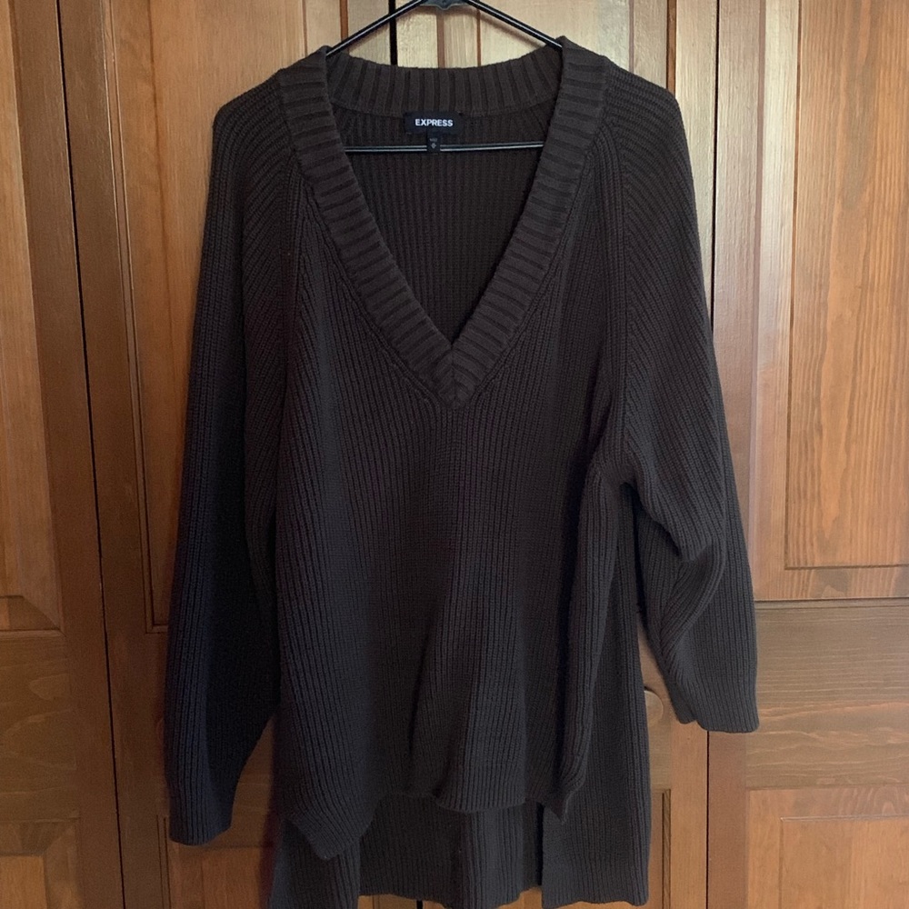 Express oversized v-neck sweater